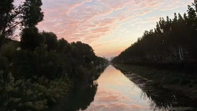 北京商标注册代理合同：关键注意事项解析